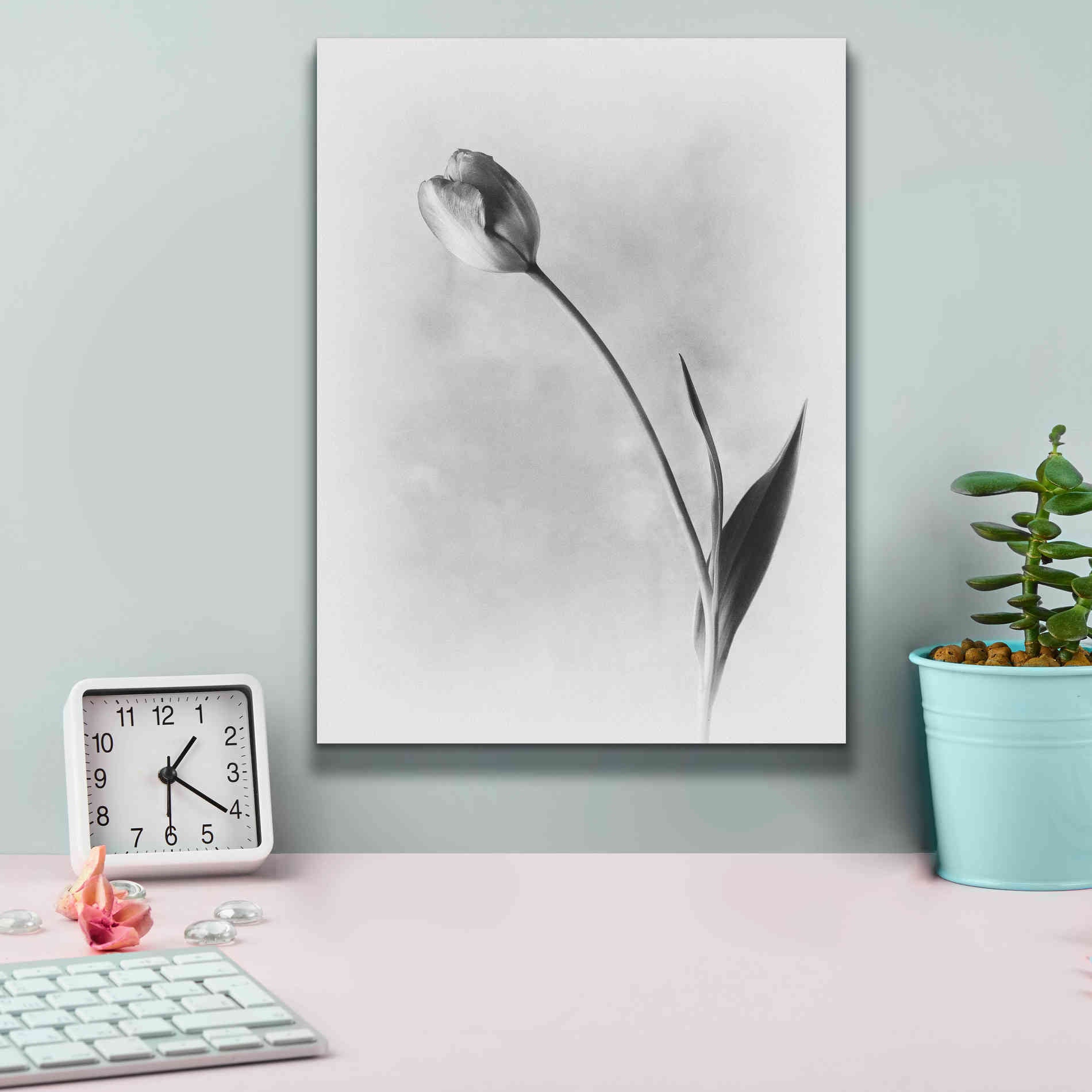 'Soft Tulips II' by Debra Van Swearingen, Canvas Wall Art,12 x 16
