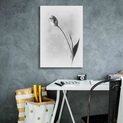 Image of 'Soft Tulips II' by Debra Van Swearingen, Canvas Wall Art,18 x 26