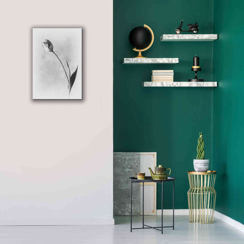 Image of 'Soft Tulips II' by Debra Van Swearingen, Canvas Wall Art,18 x 26