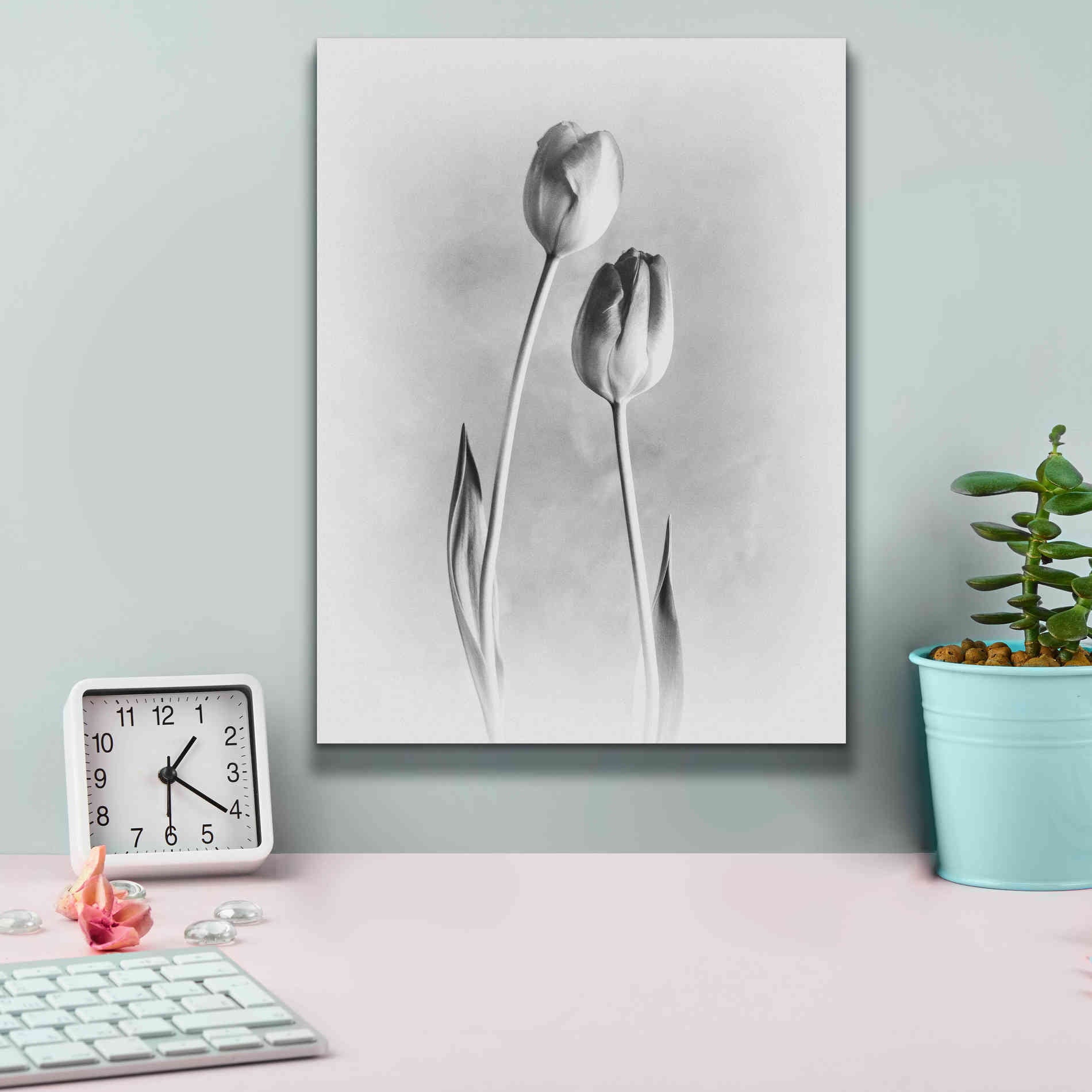 'Soft Tulips III' by Debra Van Swearingen, Canvas Wall Art,12 x 16