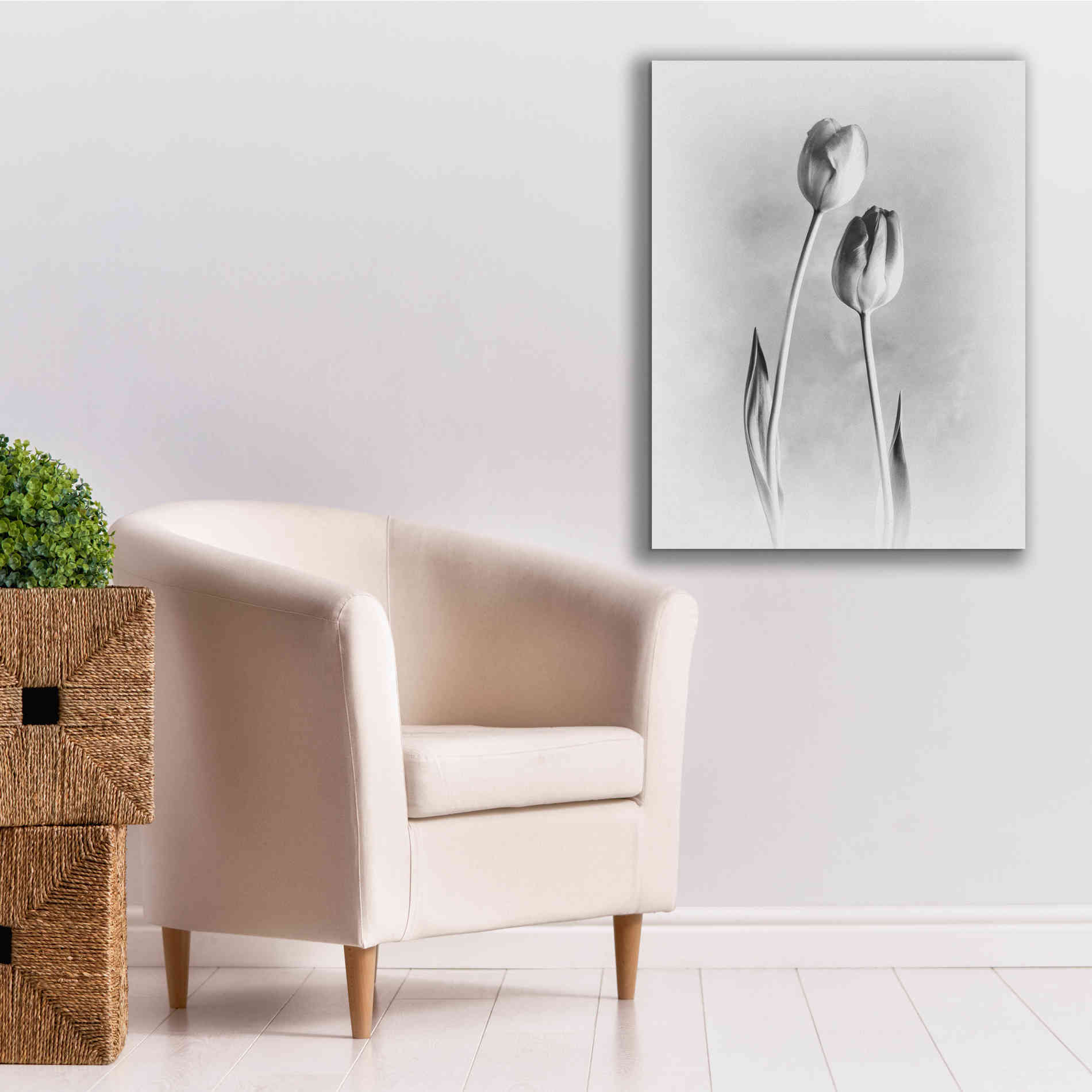 'Soft Tulips III' by Debra Van Swearingen, Canvas Wall Art,26 x 34