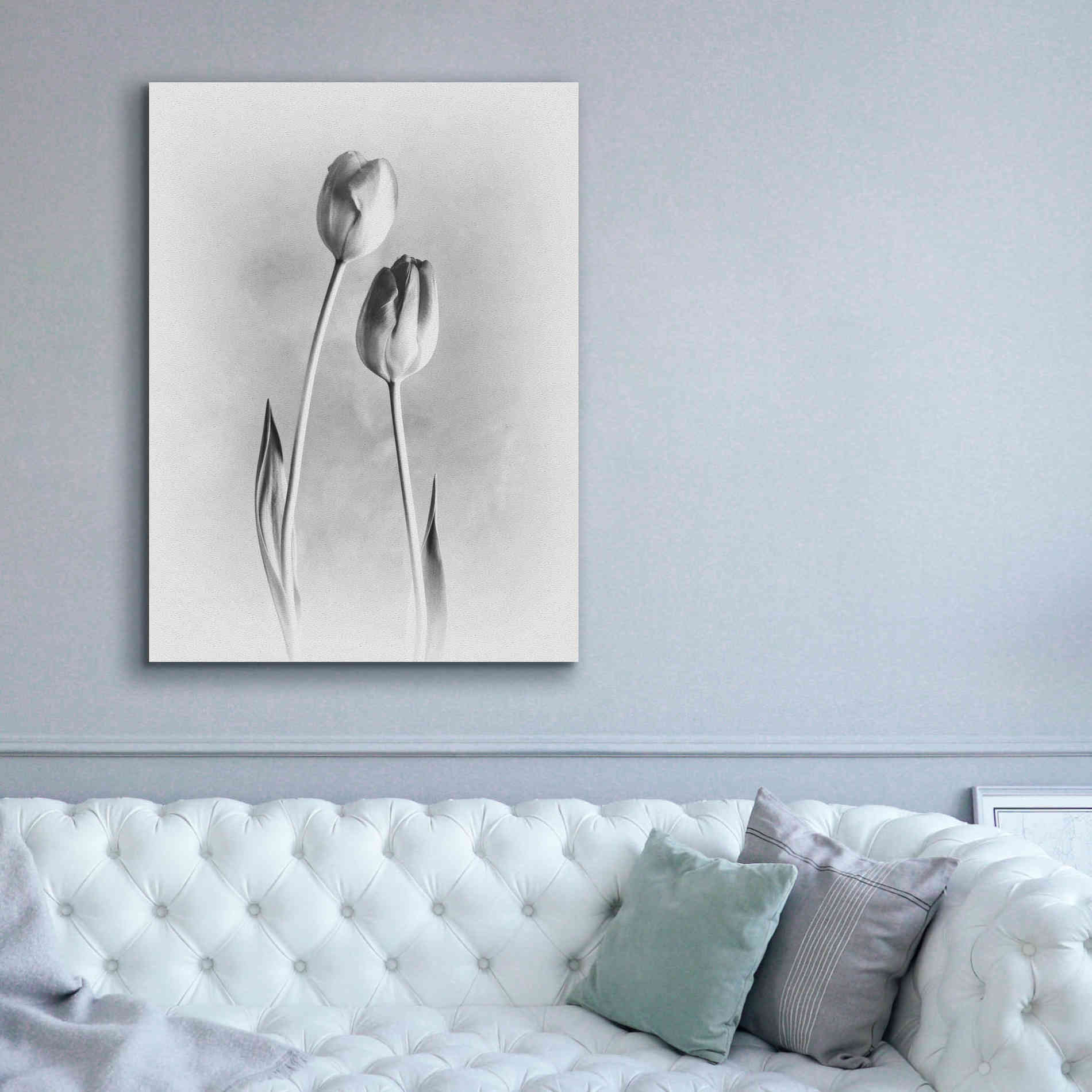 'Soft Tulips III' by Debra Van Swearingen, Canvas Wall Art,40 x 54