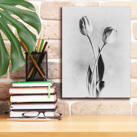 Image of 'Soft Tulips IV' by Debra Van Swearingen, Canvas Wall Art,12 x 16