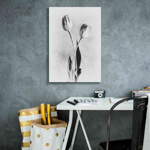 Image of 'Soft Tulips IV' by Debra Van Swearingen, Canvas Wall Art,18 x 26
