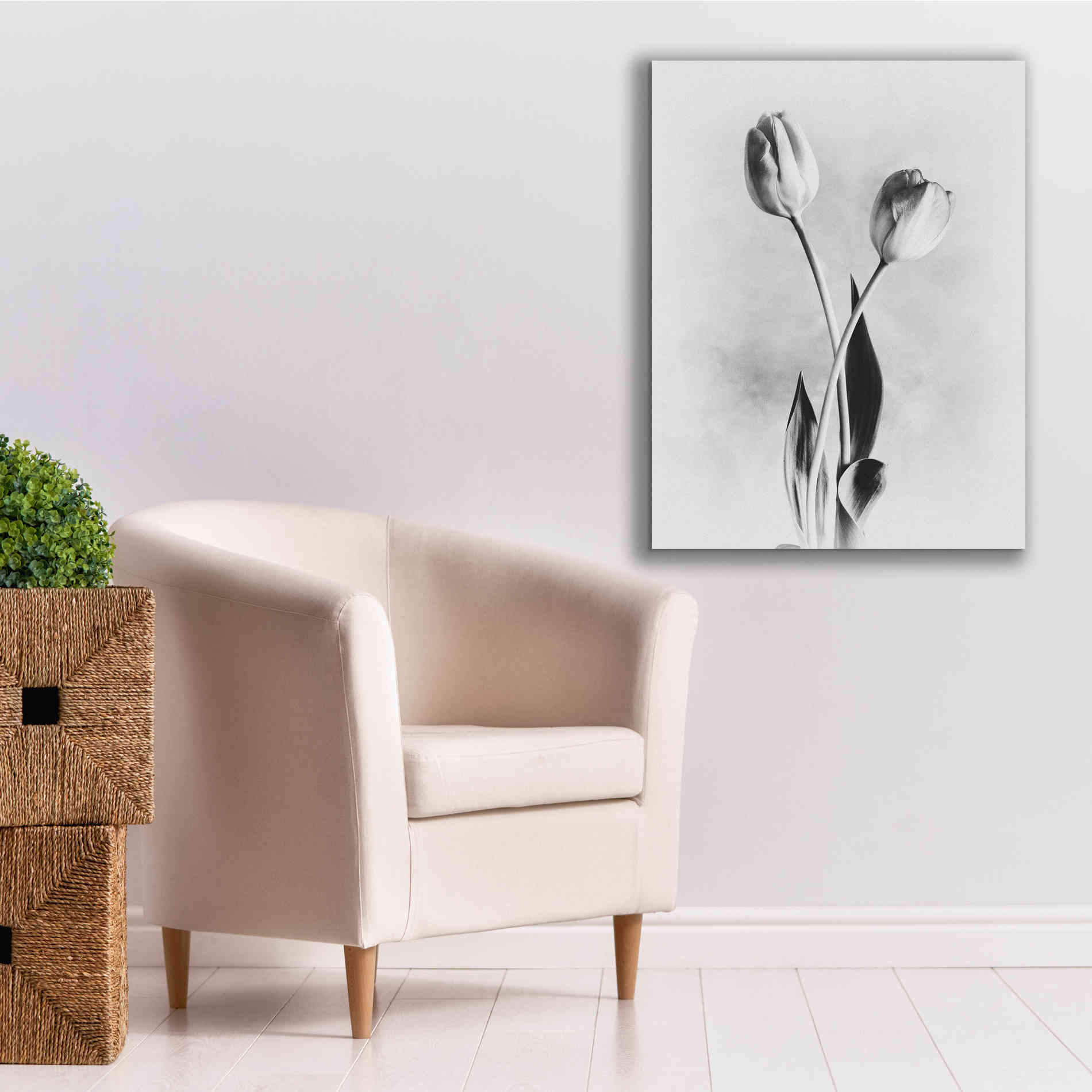 'Soft Tulips IV' by Debra Van Swearingen, Canvas Wall Art,26 x 34