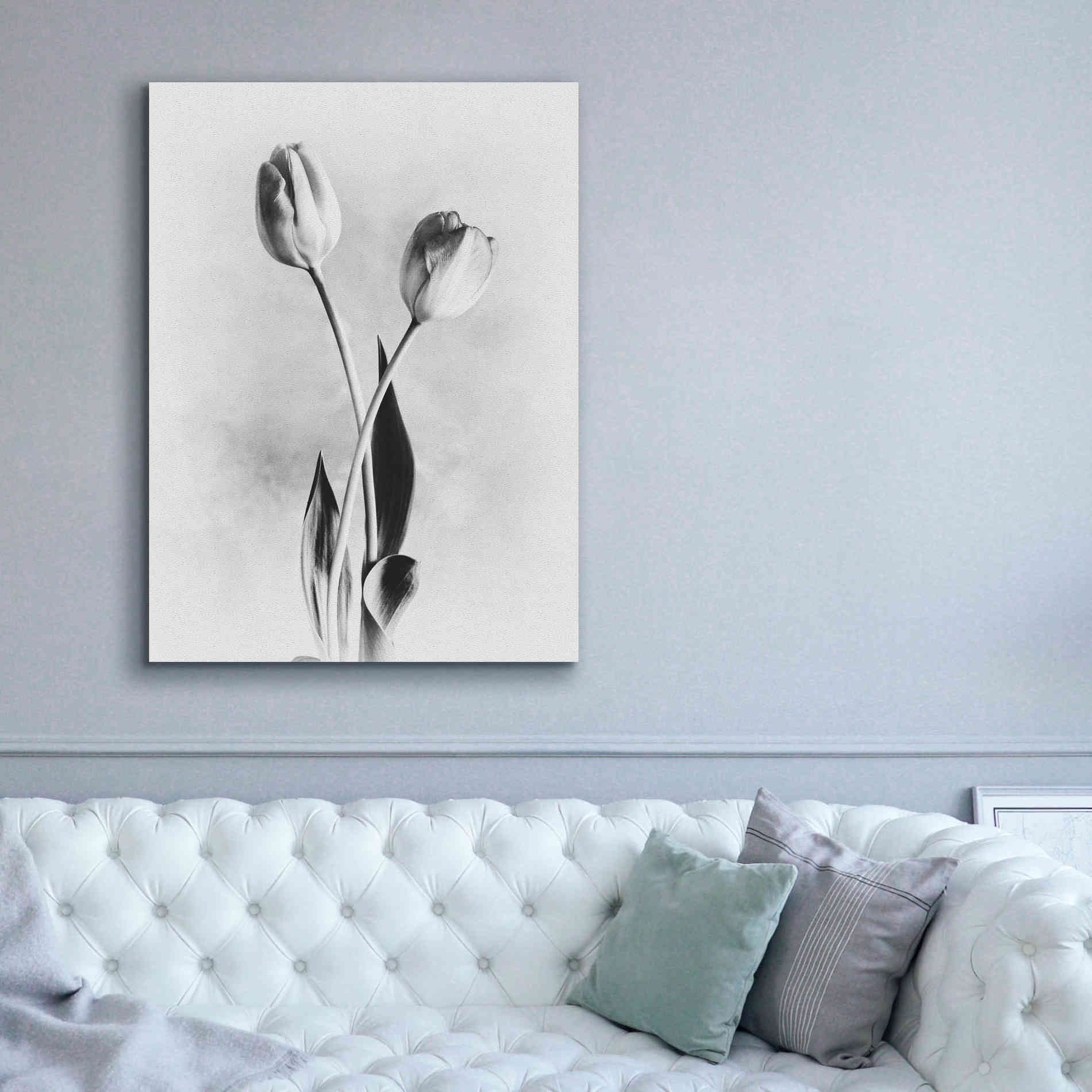 'Soft Tulips IV' by Debra Van Swearingen, Canvas Wall Art,40 x 54