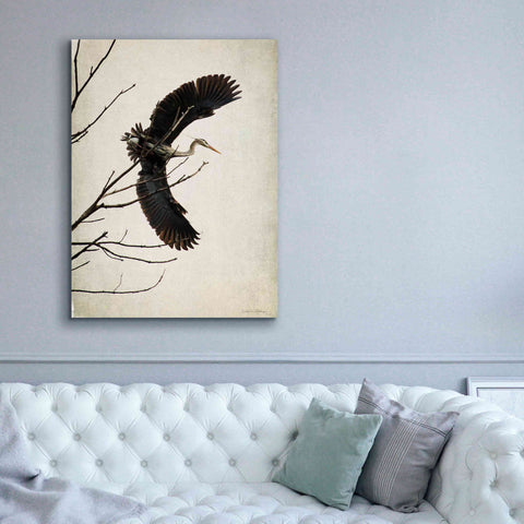 Image of 'Grace' by Debra Van Swearingen, Canvas Wall Art,40 x 54