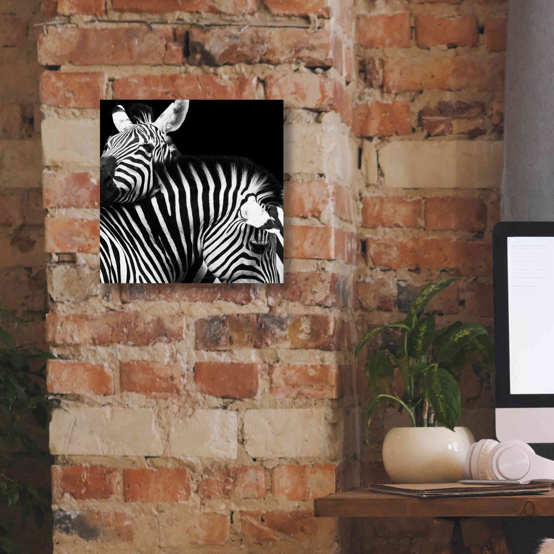 'Zebra VI' by Debra Van Swearingen, Canvas Wall Art,12 x 12