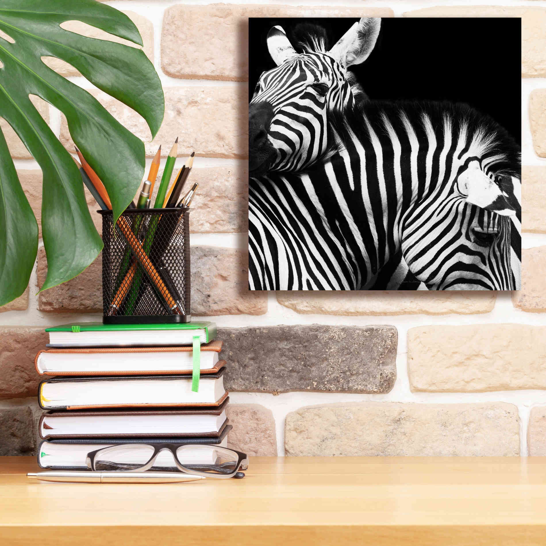 'Zebra VI' by Debra Van Swearingen, Canvas Wall Art,12 x 12