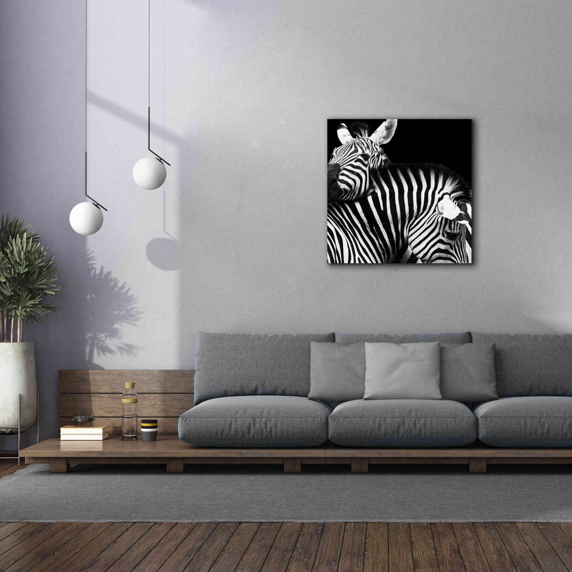 'Zebra VI' by Debra Van Swearingen, Canvas Wall Art,37 x 37