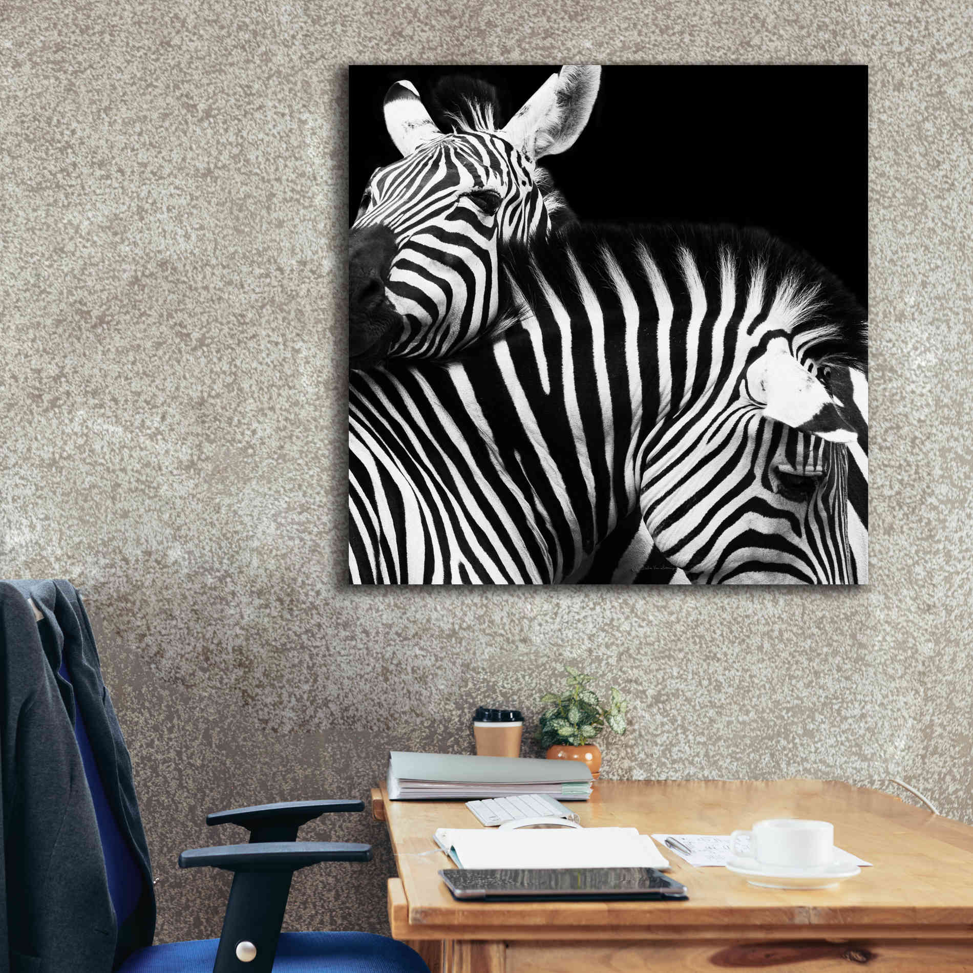 'Zebra VI' by Debra Van Swearingen, Canvas Wall Art,37 x 37