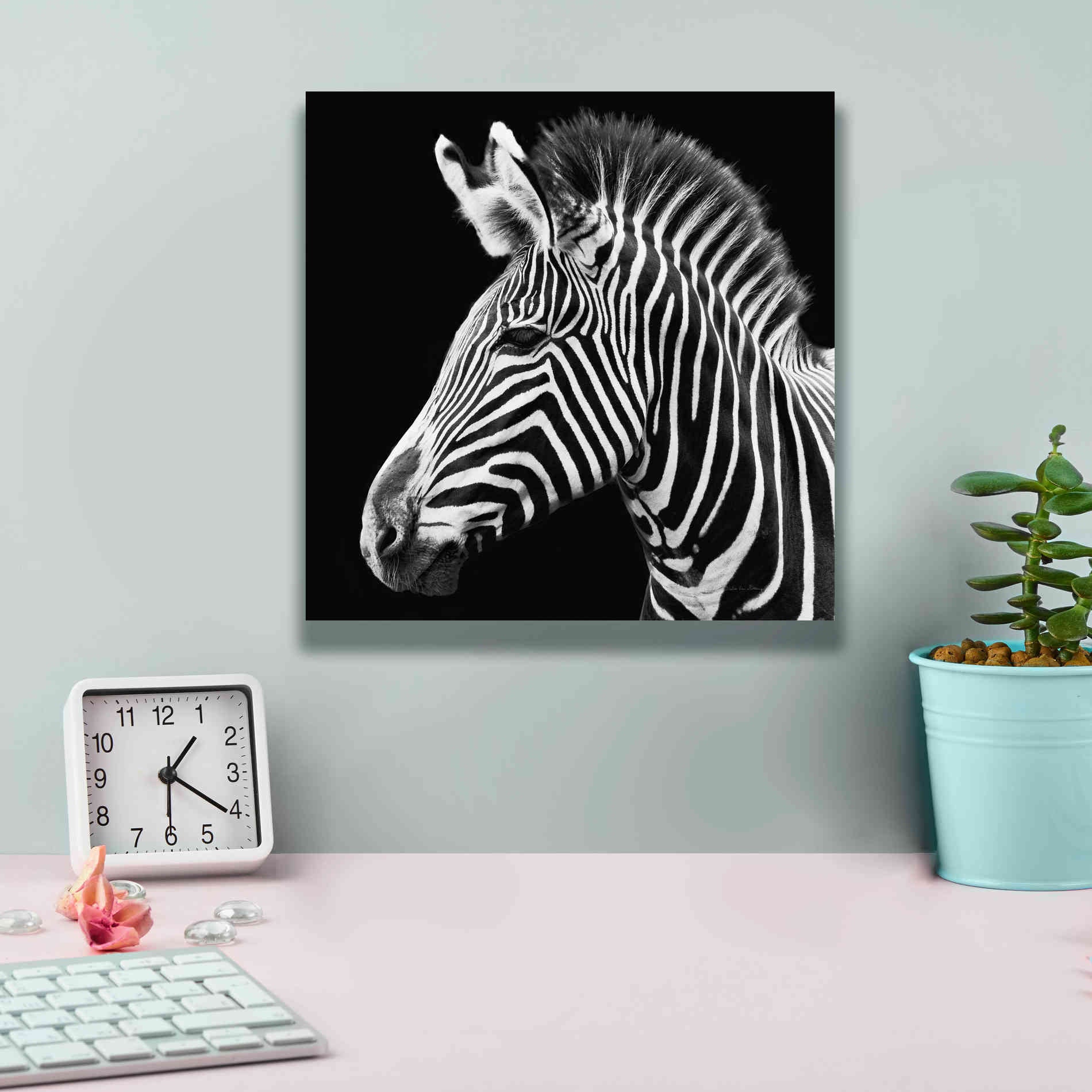 'Zebra VII' by Debra Van Swearingen, Canvas Wall Art,12 x 12