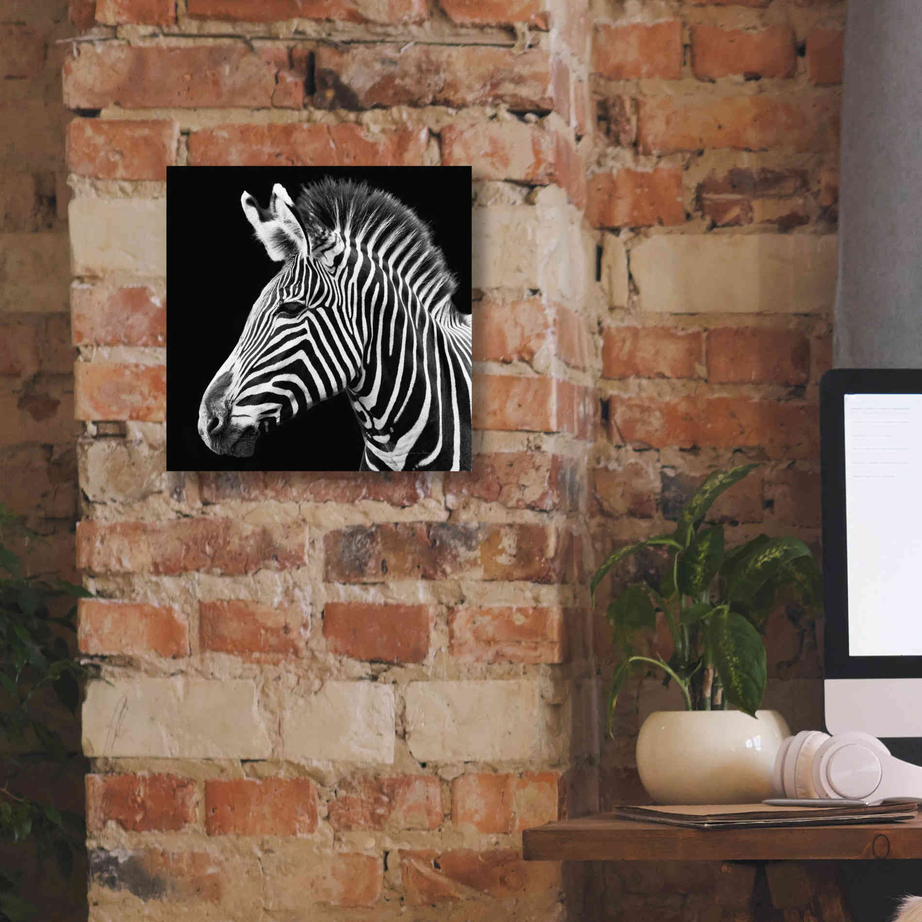 'Zebra VII' by Debra Van Swearingen, Canvas Wall Art,12 x 12