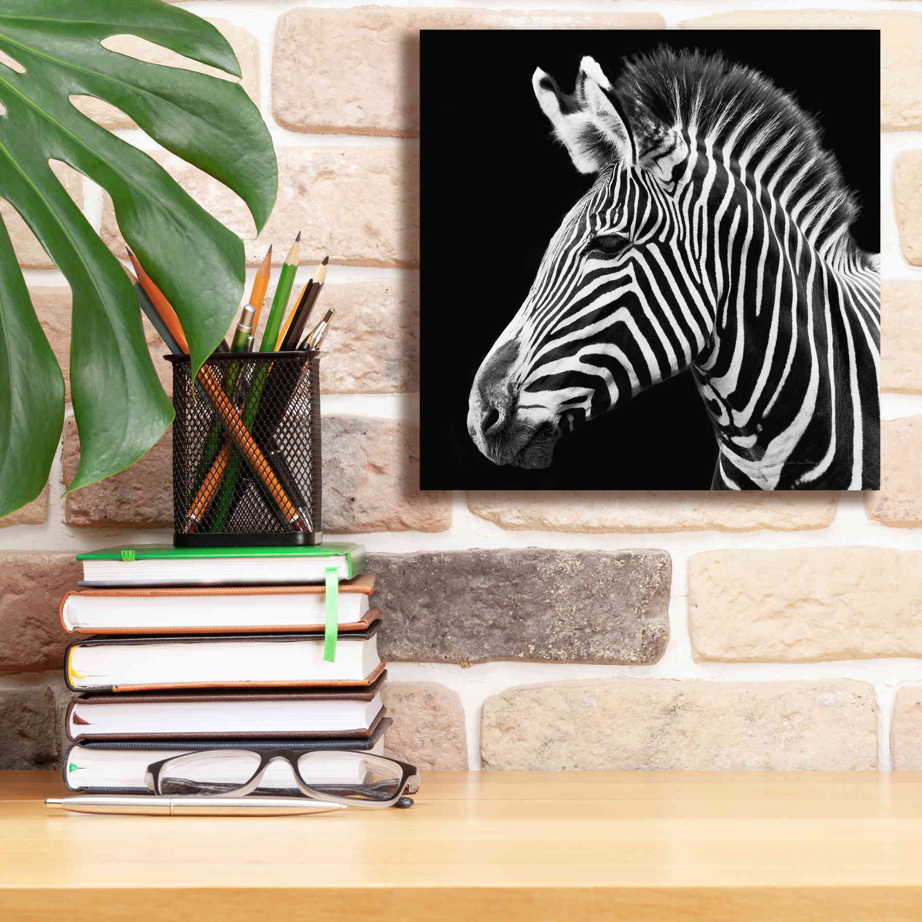'Zebra VII' by Debra Van Swearingen, Canvas Wall Art,12 x 12