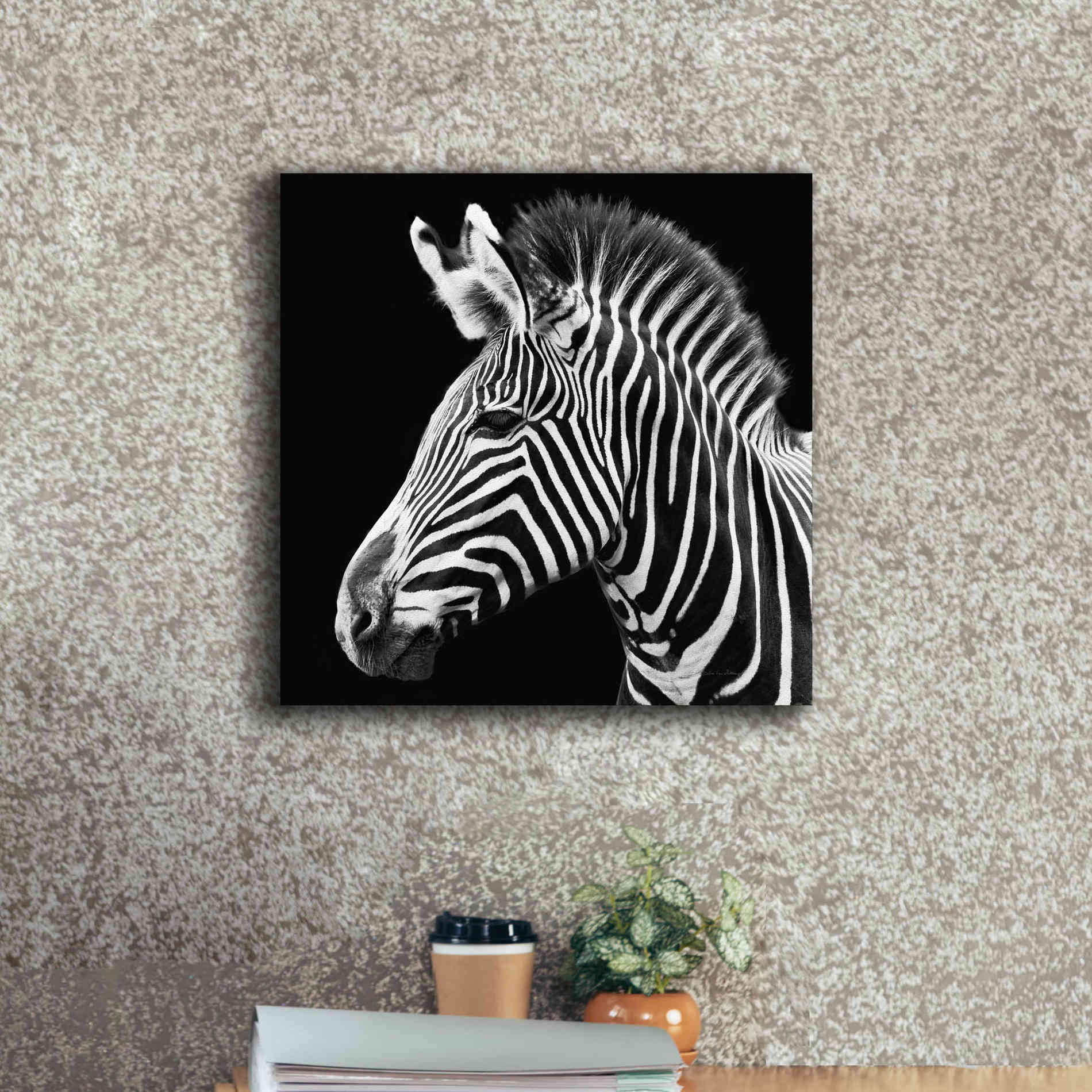 'Zebra VII' by Debra Van Swearingen, Canvas Wall Art,18 x 18