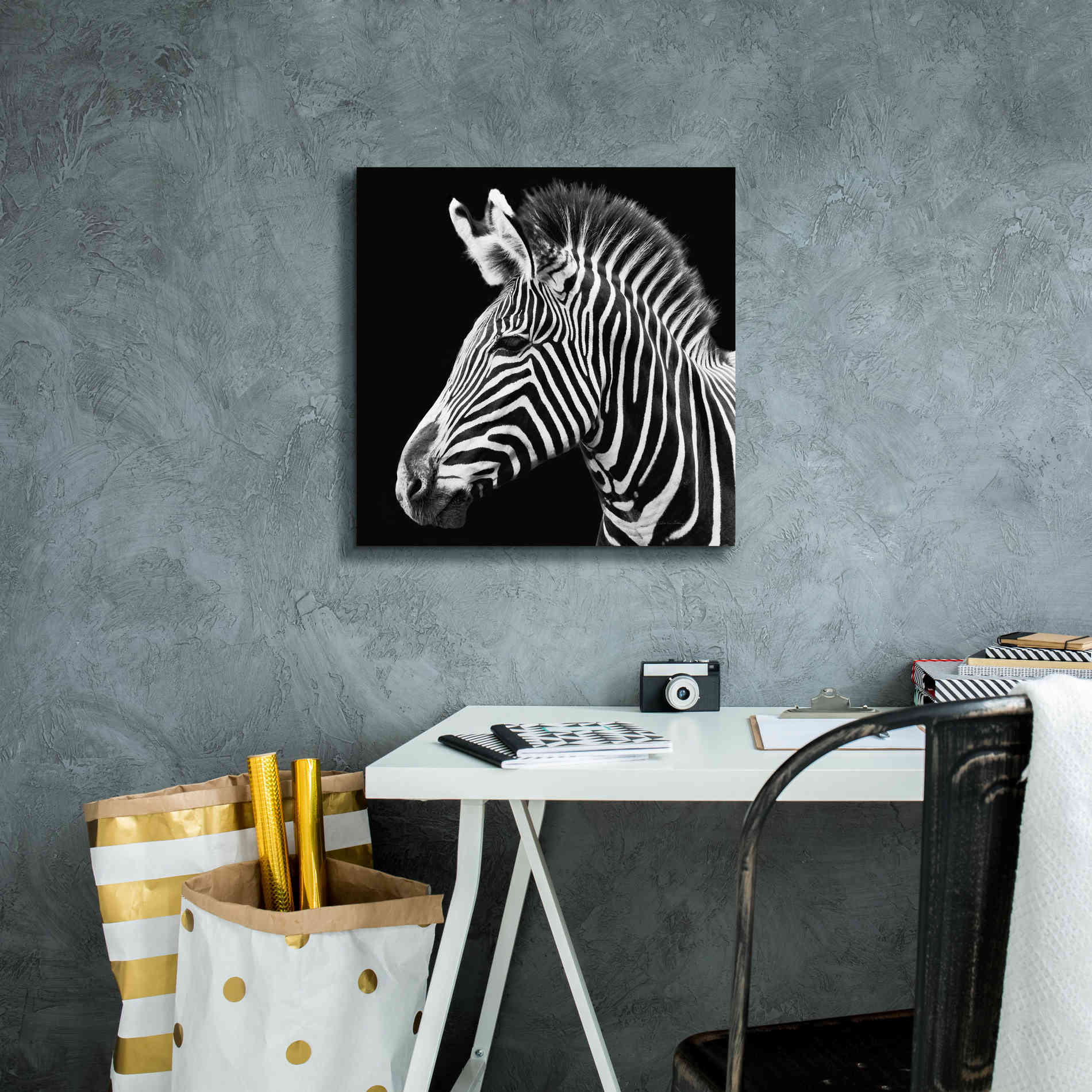 'Zebra VII' by Debra Van Swearingen, Canvas Wall Art,18 x 18