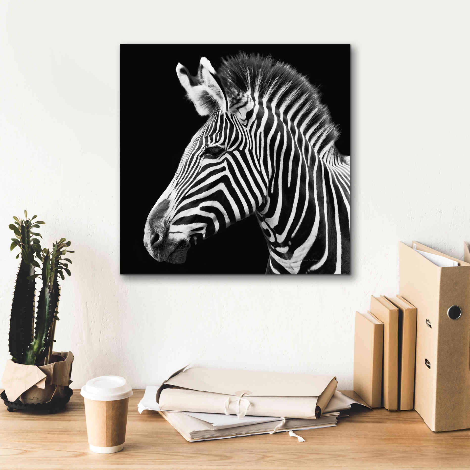 'Zebra VII' by Debra Van Swearingen, Canvas Wall Art,18 x 18