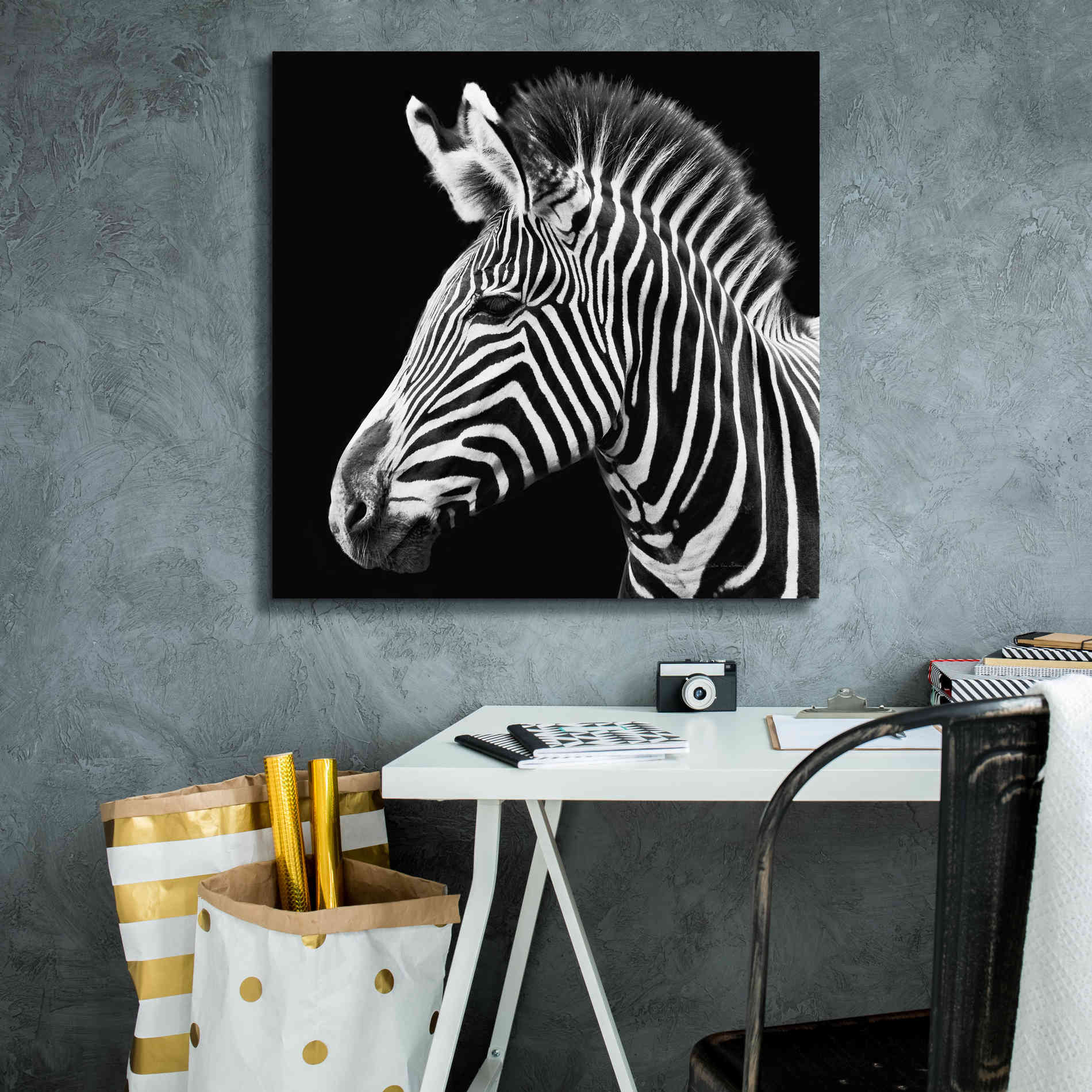 'Zebra VII' by Debra Van Swearingen, Canvas Wall Art,26 x 26