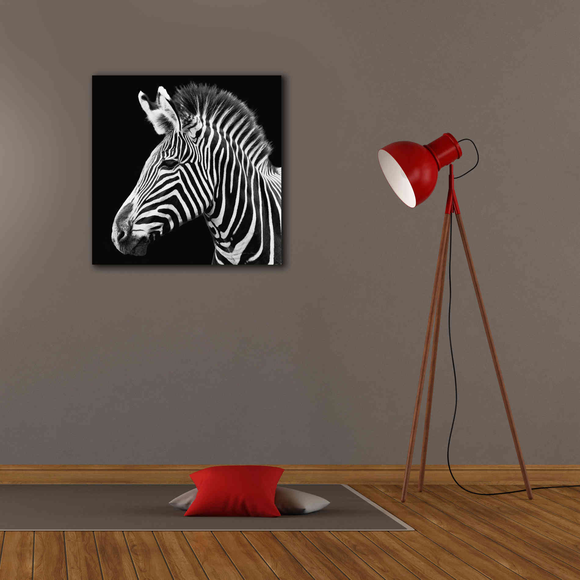 'Zebra VII' by Debra Van Swearingen, Canvas Wall Art,26 x 26