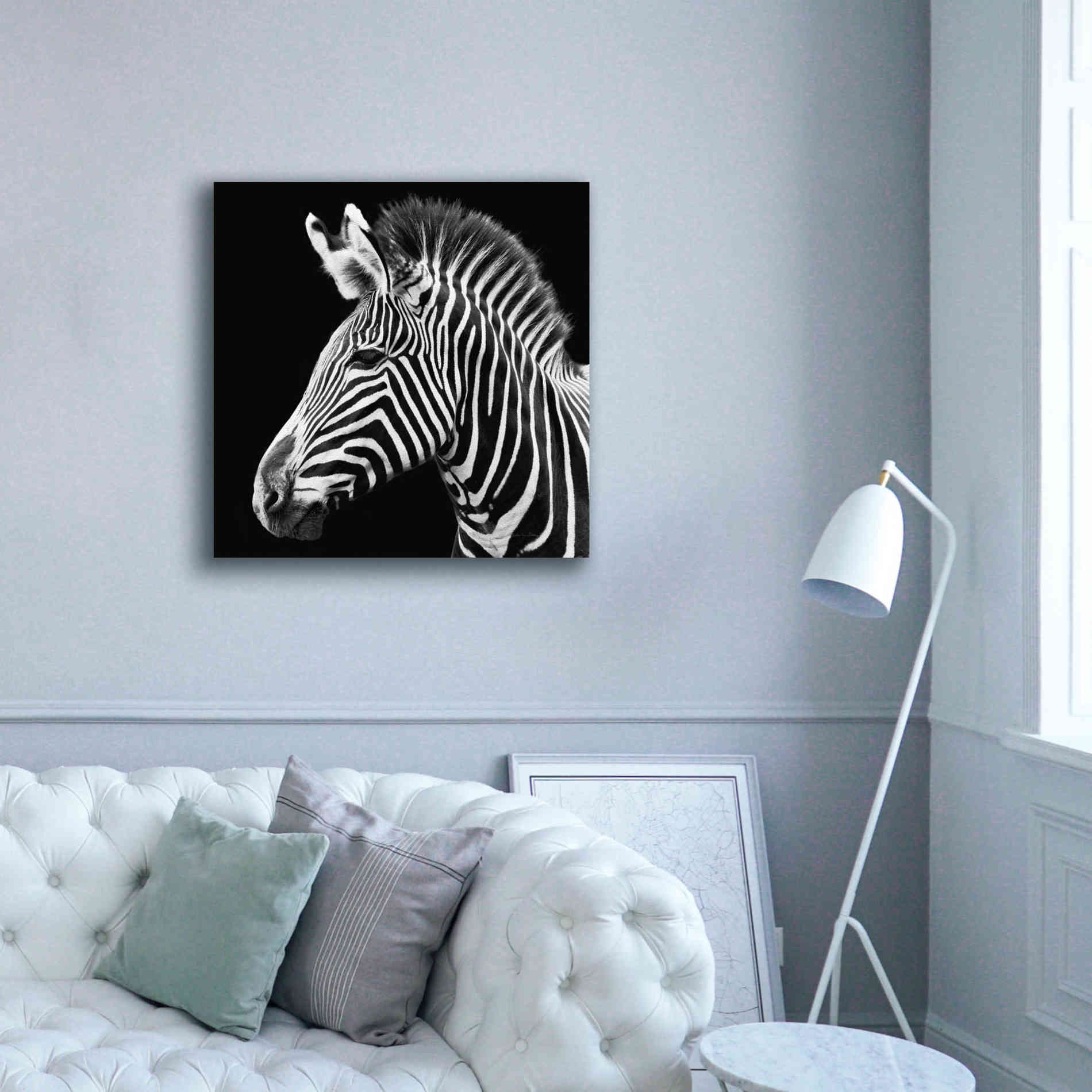 'Zebra VII' by Debra Van Swearingen, Canvas Wall Art,37 x 37