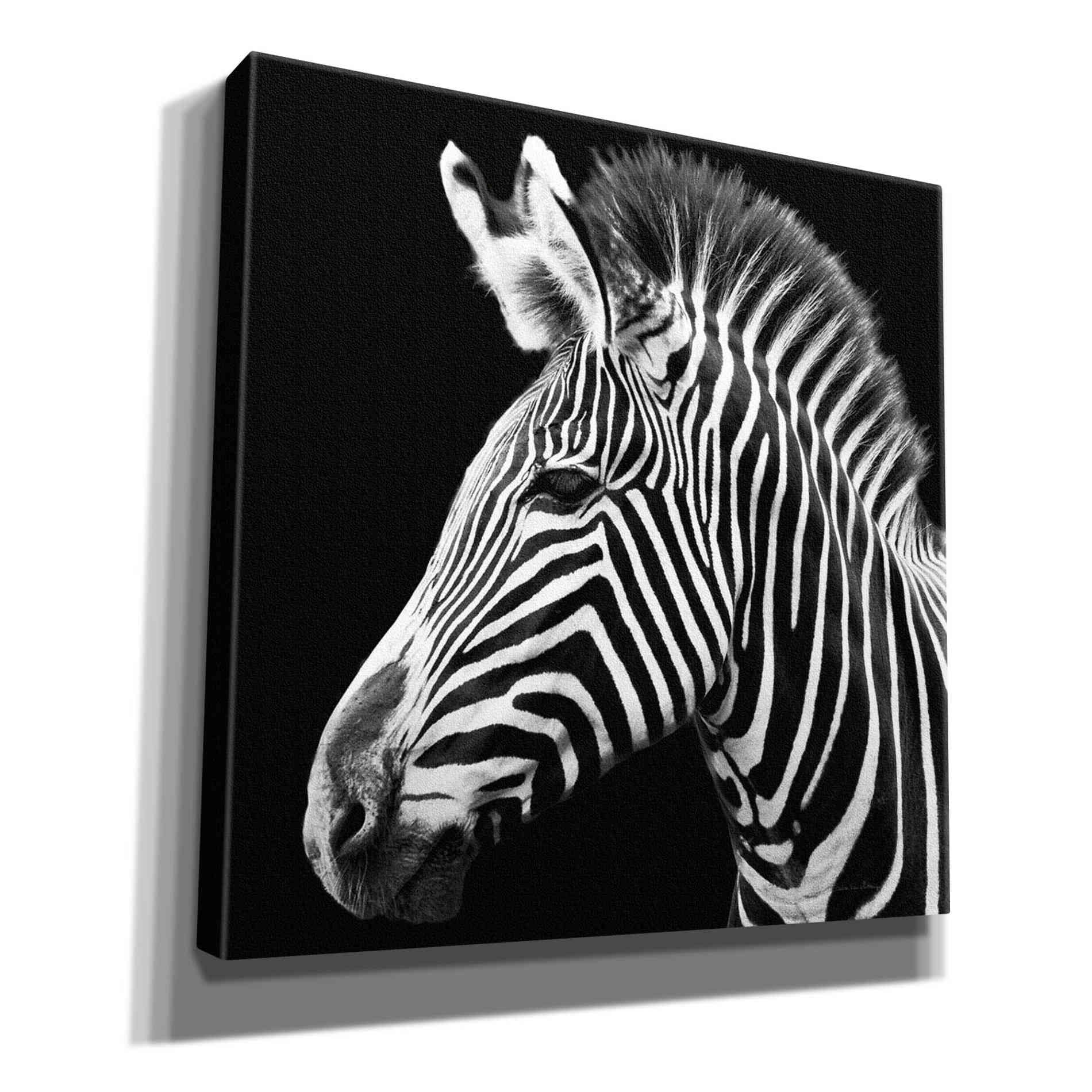 'Zebra VII' by Debra Van Swearingen, Canvas Wall Art,12x12x1.1x0,18x18x1.1x0,26x26x1.74x0,37x37x1.74x0