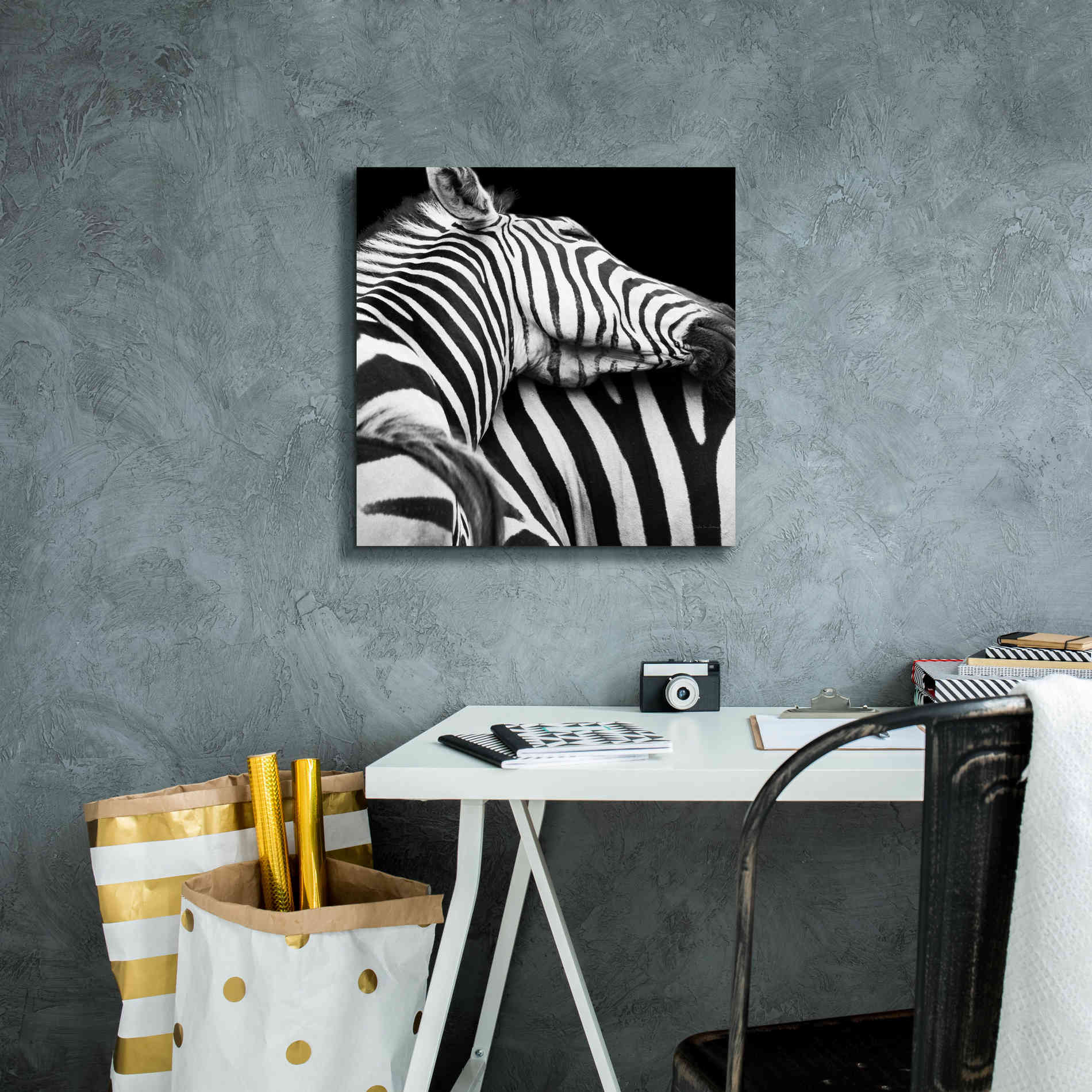 'Zebra VIII' by Debra Van Swearingen, Canvas Wall Art,18 x 18