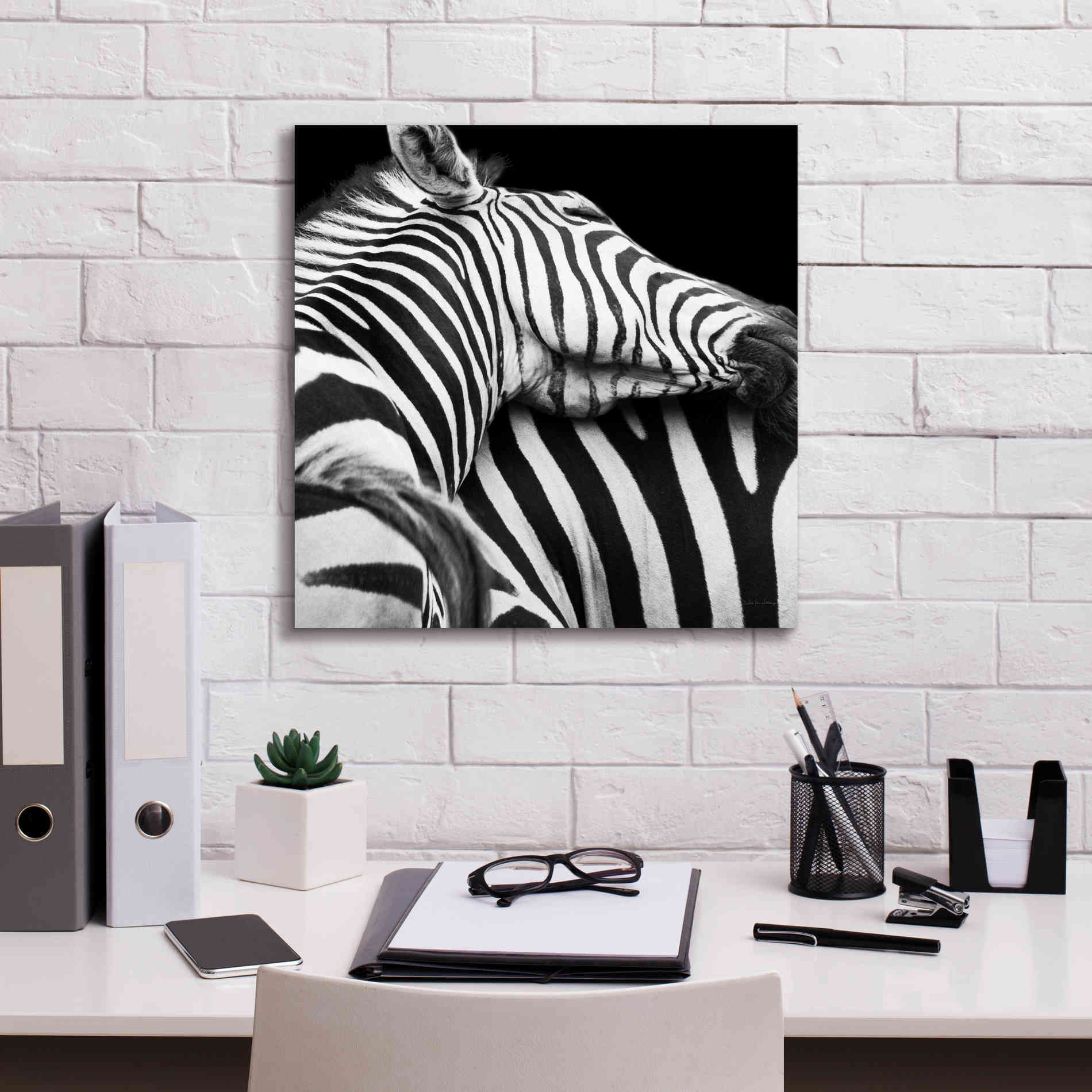 'Zebra VIII' by Debra Van Swearingen, Canvas Wall Art,18 x 18