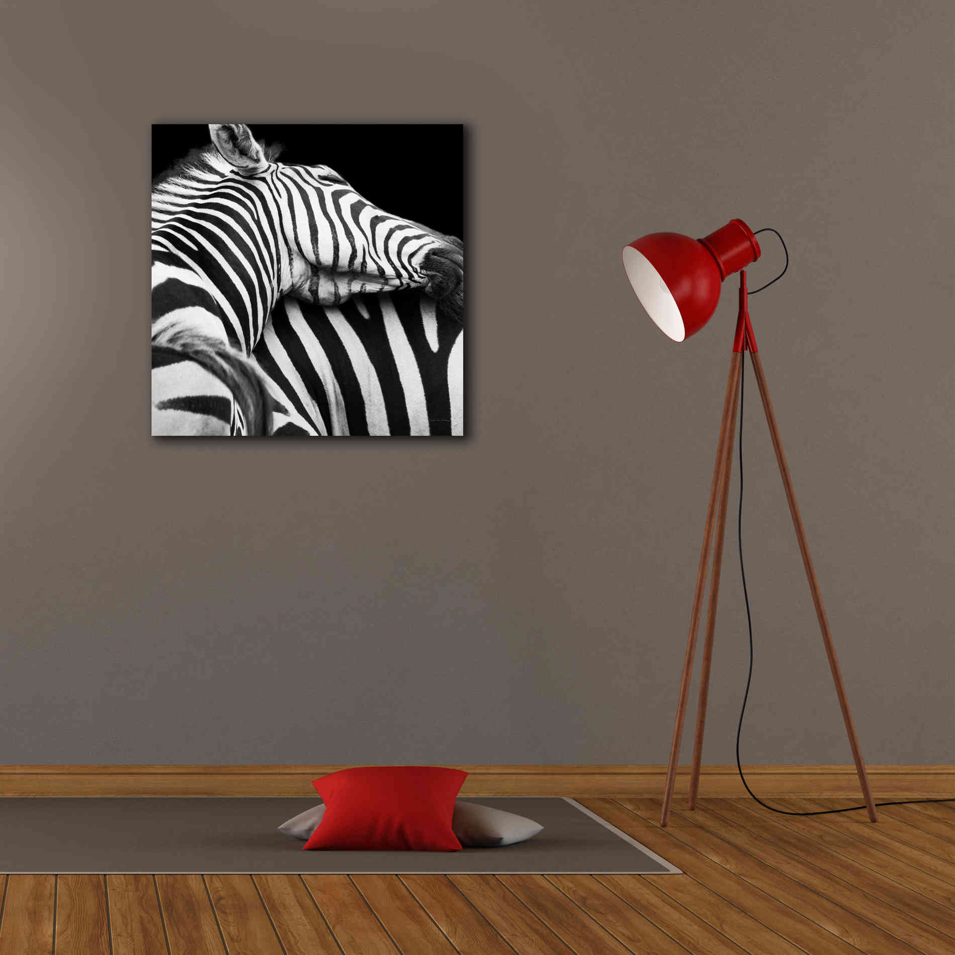 'Zebra VIII' by Debra Van Swearingen, Canvas Wall Art,26 x 26
