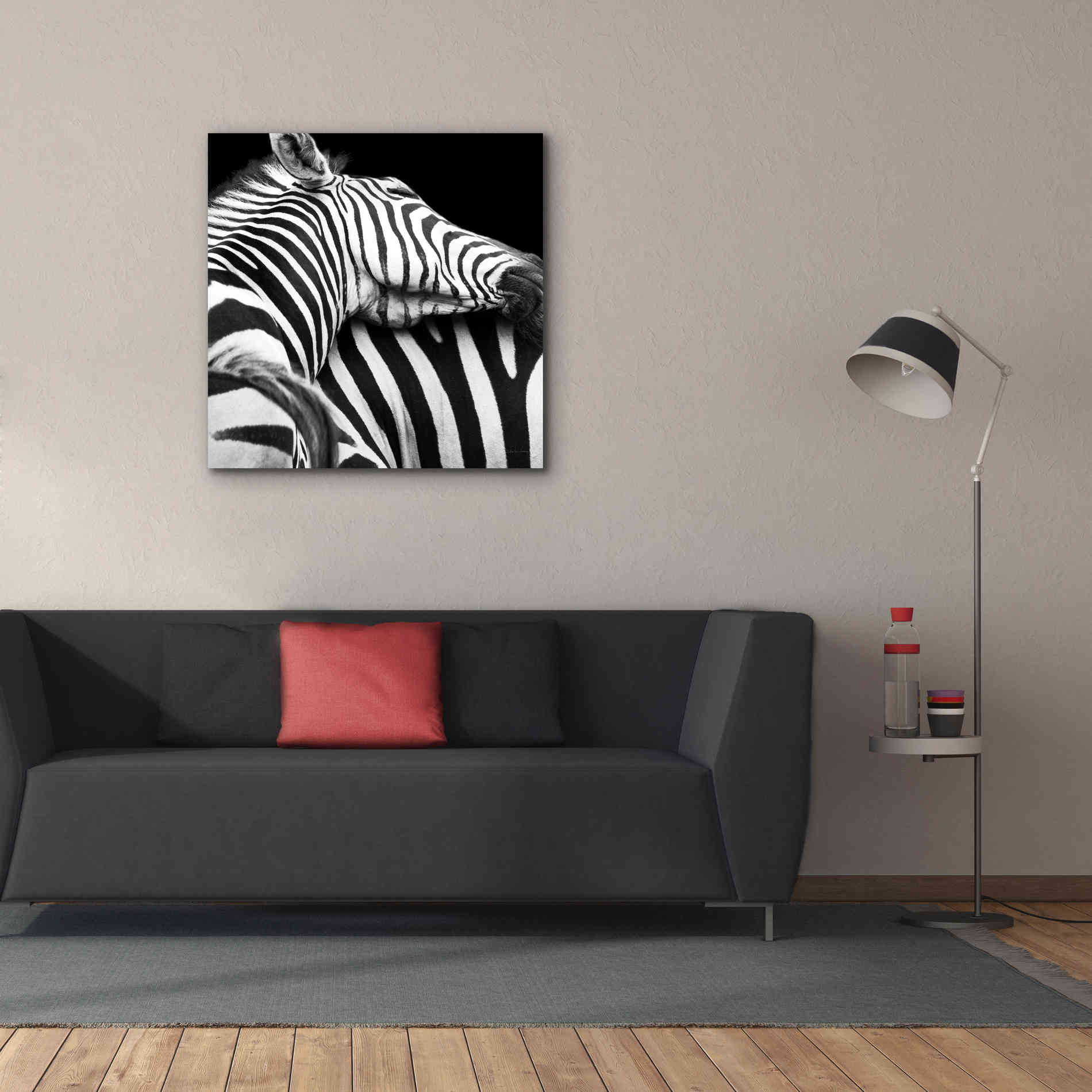 'Zebra VIII' by Debra Van Swearingen, Canvas Wall Art,37 x 37