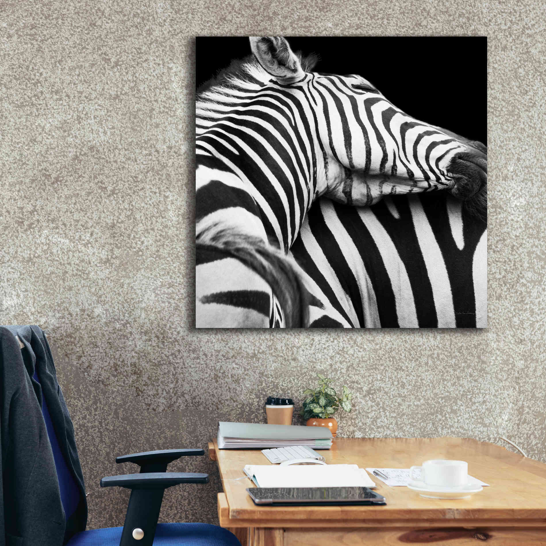 'Zebra VIII' by Debra Van Swearingen, Canvas Wall Art,37 x 37