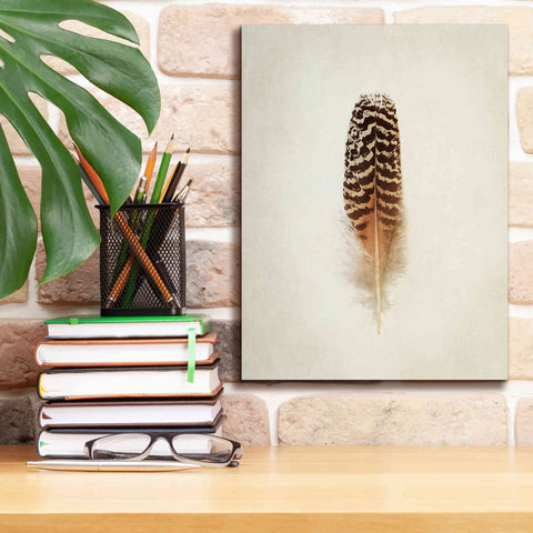 Image of 'Feather I' by Debra Van Swearingen, Canvas Wall Art,12 x 16