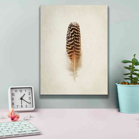 Image of 'Feather I' by Debra Van Swearingen, Canvas Wall Art,12 x 16