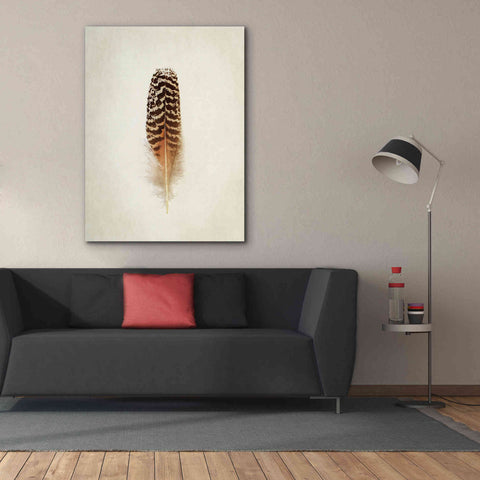 Image of 'Feather I' by Debra Van Swearingen, Canvas Wall Art,40 x 54