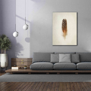 'Feather I' by Debra Van Swearingen, Canvas Wall Art,40 x 54