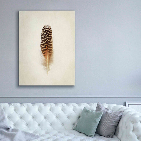 Image of 'Feather I' by Debra Van Swearingen, Canvas Wall Art,40 x 54