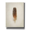 'Feather I' by Debra Van Swearingen, Canvas Wall Art,12x16x1.1x0,20x24x1.1x0,26x30x1.74x0,40x54x1.74x0