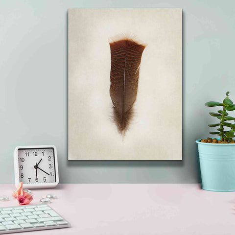 Image of 'Feather III' by Debra Van Swearingen, Canvas Wall Art,12 x 16