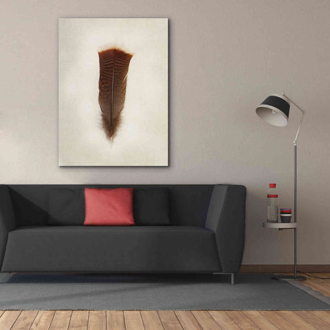 Image of 'Feather III' by Debra Van Swearingen, Canvas Wall Art,40 x 54