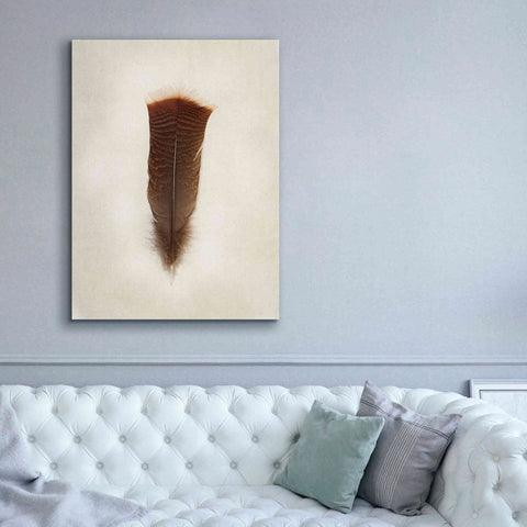 Image of 'Feather III' by Debra Van Swearingen, Canvas Wall Art,40 x 54