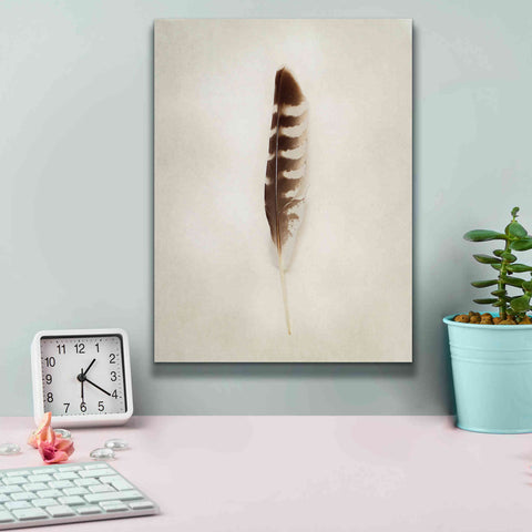 Image of 'Feather IV' by Debra Van Swearingen, Canvas Wall Art,12 x 16