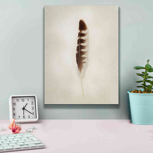 'Feather IV' by Debra Van Swearingen, Canvas Wall Art,12 x 16