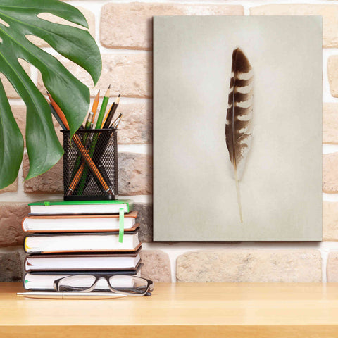 Image of 'Feather IV' by Debra Van Swearingen, Canvas Wall Art,12 x 16