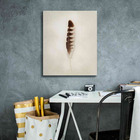 Image of 'Feather IV' by Debra Van Swearingen, Canvas Wall Art,20 x 24