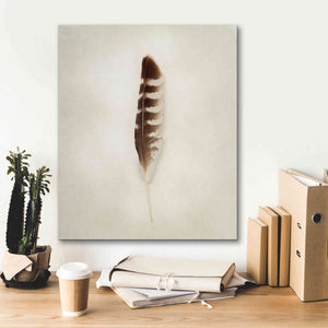 'Feather IV' by Debra Van Swearingen, Canvas Wall Art,20 x 24