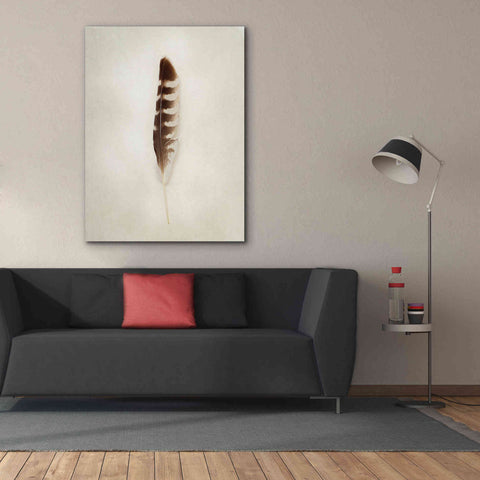 Image of 'Feather IV' by Debra Van Swearingen, Canvas Wall Art,40 x 54