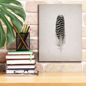 'Feather I B&W' by Debra Van Swearingen, Canvas Wall Art,12 x 16