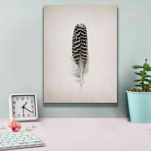 Image of 'Feather I B&W' by Debra Van Swearingen, Canvas Wall Art,12 x 16