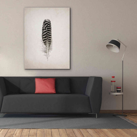 Image of 'Feather I B&W' by Debra Van Swearingen, Canvas Wall Art,40 x 54