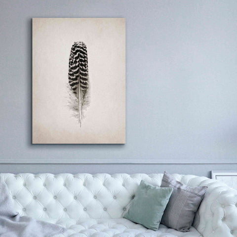 Image of 'Feather I B&W' by Debra Van Swearingen, Canvas Wall Art,40 x 54