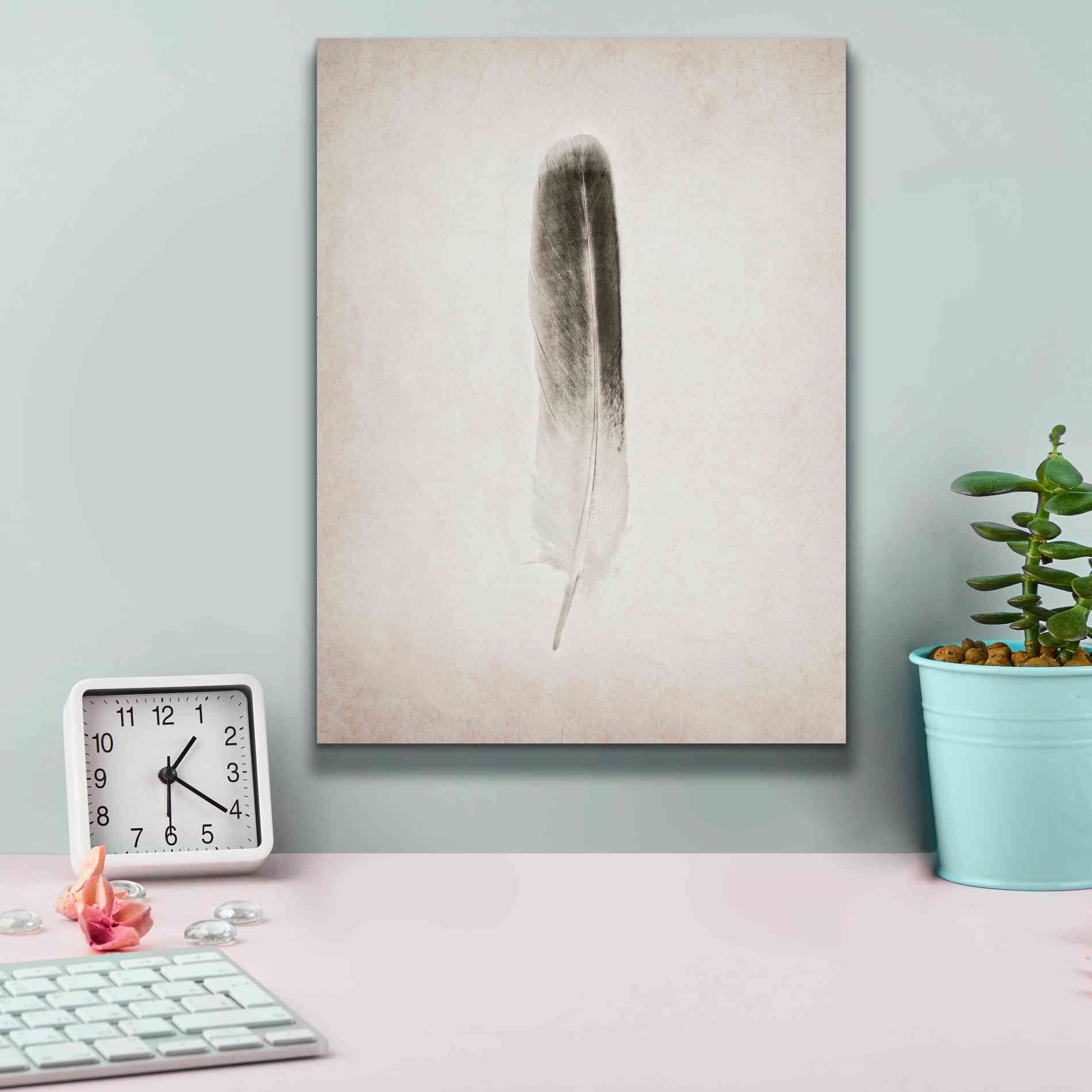 'Feather II B&W' by Debra Van Swearingen, Canvas Wall Art,12 x 16
